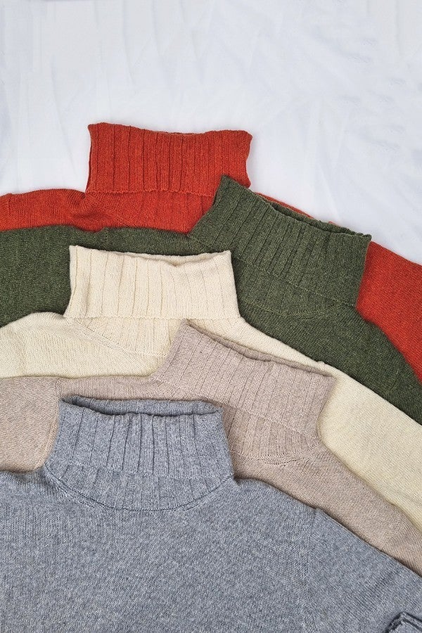 Rhaella Long Sleeve Turtleneck Sweater with Side Slit