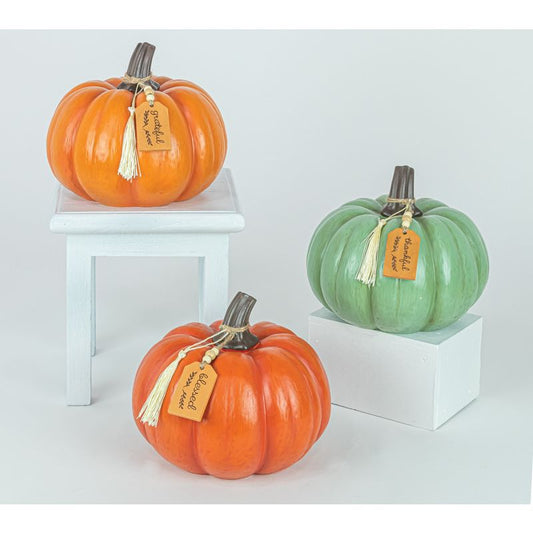 Autumn Tassel Pumpkins (Assorted)