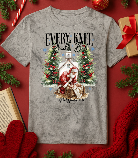 Every Knee Shall Bow Tee (4 Shirt Options)