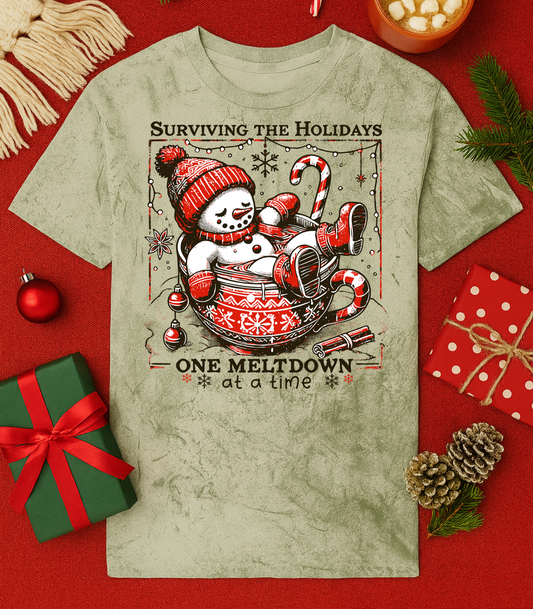 One Meltdown At A Time Tee (4 Shirt Options)
