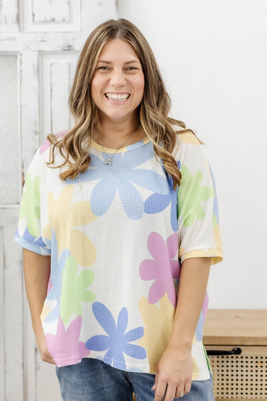 Reg/Plus-Searching For Sunshine Top