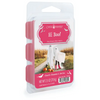 All The Fall Love Wax Melts