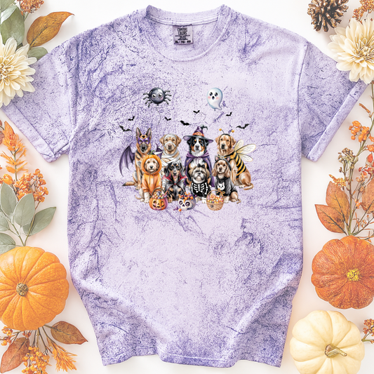 Pumpkin Patch Pups Tee
