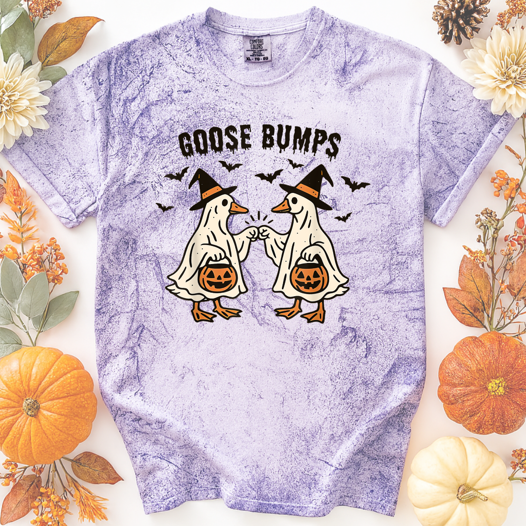 Goose Bumps Tee